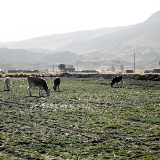 Distretto di Mañazo