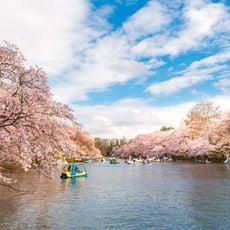 Inokashira Park