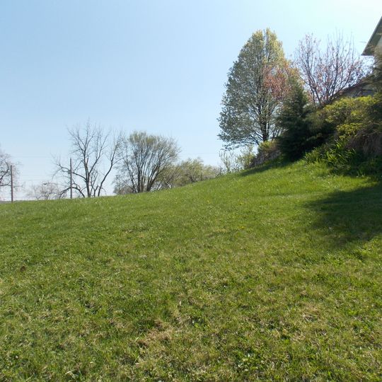 Potter-Williams House