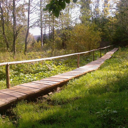 Rezerwat przyrody Mójka