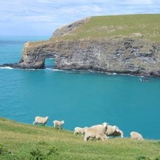 Banks Peninsula Track
