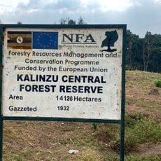 Kalinzu Central Forest Reserve