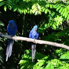 Parc des oiseaux