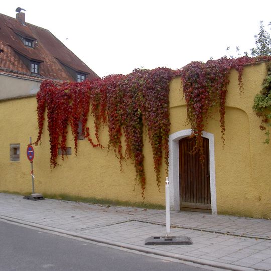 Teil der Stadtmauer
