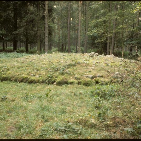 Gräberfeld Skebbas Rör