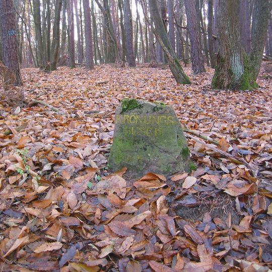 Ritterstein 16 "Krönungsbusch"