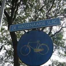 Wassenaarse Slag