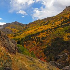 Humboldt–Toiyabe National Forest