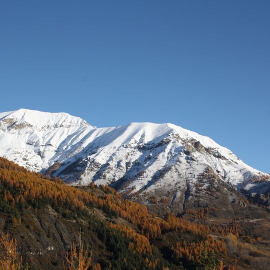 Grand Cheval de Bois