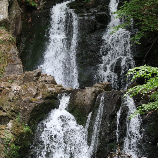 Forsakar Nature Reserve