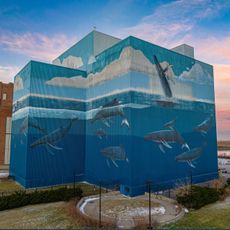 Whale mural
