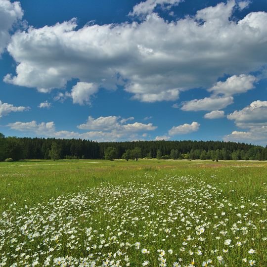 Řehořkovo Kořenecko