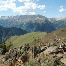 Wallowa–Whitman National Forest