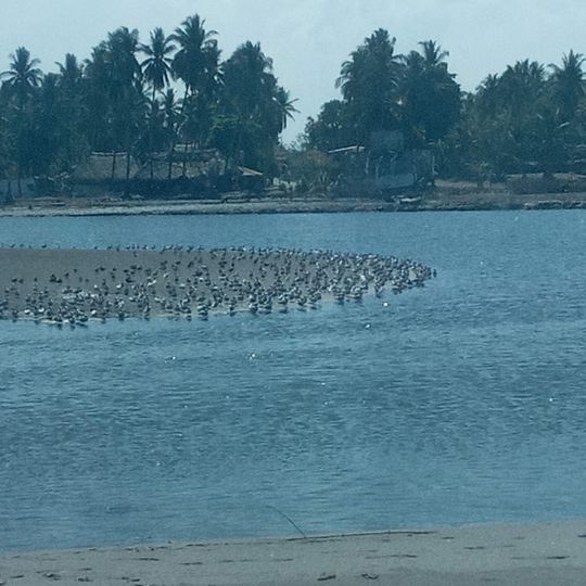 Playa San José Churidín