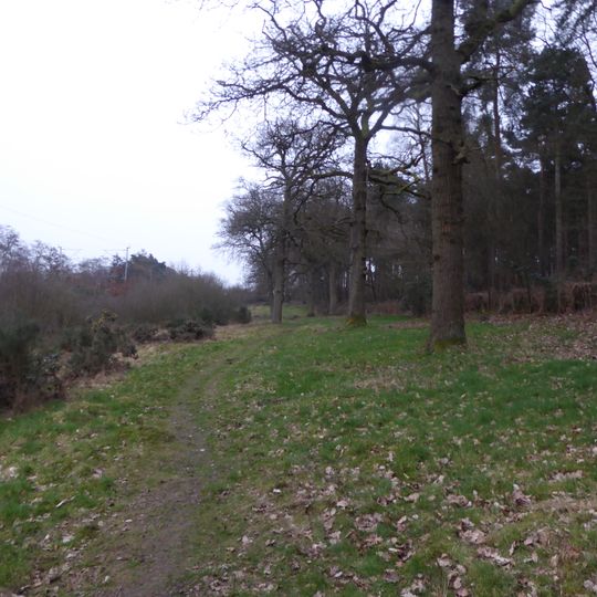 Harlestone Heath