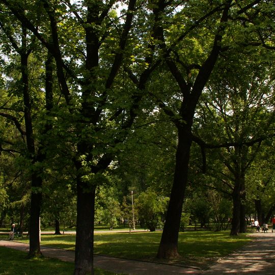 Park Szwedzki w Krakowie