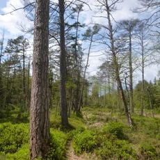 Murn, Murner Filz und Eiselfinger See
