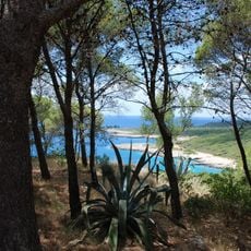 Parco naturale regionale Porto Selvaggio e Palude del Capitano
