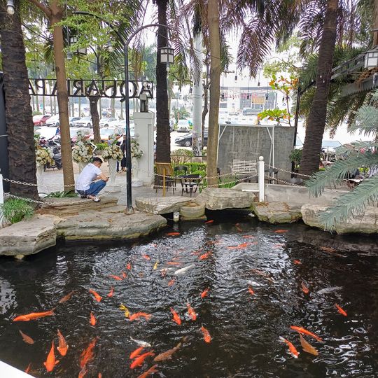 Aquaria Restaurant & Cafe