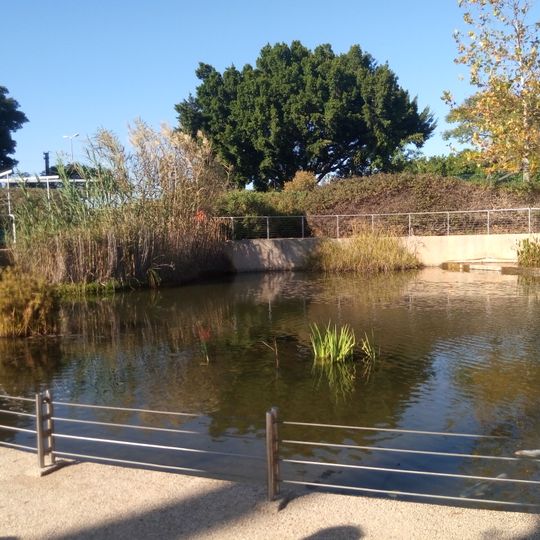 פארק כפר סבא