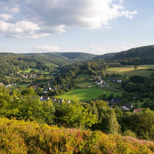 LSG-Hangwiese Steinbrink