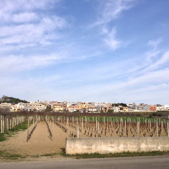 San Marzano di San Giuseppe