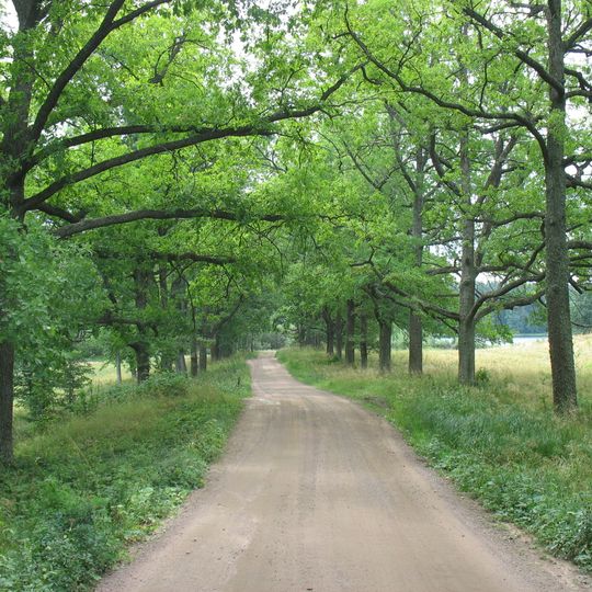 Дубовая аллея