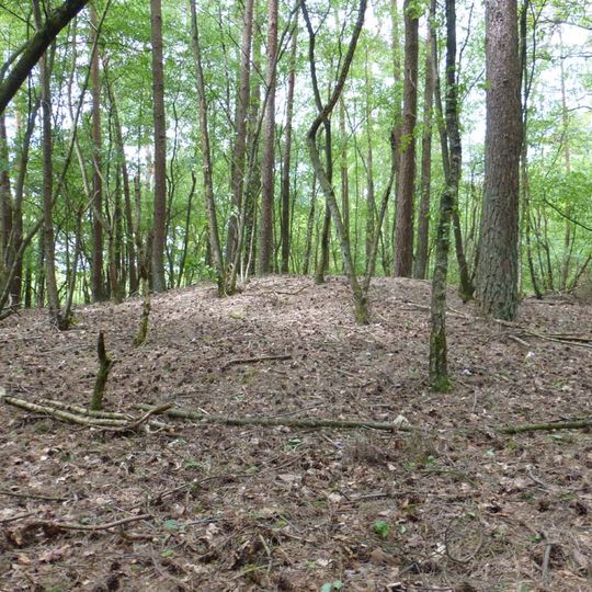 Grafheuvel Monnikenbosch