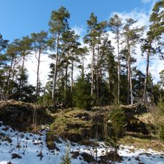 Blauer Fels NNW von Götzmannsgrün
