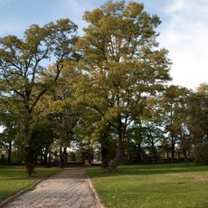Palace park in Boguchwała