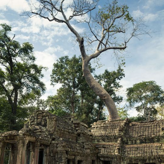 Ta Prohm