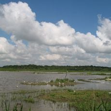 Minsmere Nature Reserve