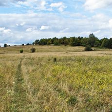 Oberes Naabtal: Münchshofer Berg mit Brunnberg von Burglengenfeld