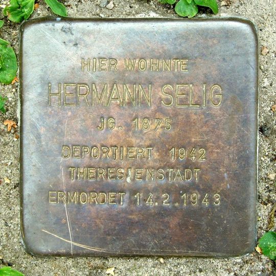 Stolperstein en memoria de Hermann Selig