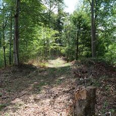 Earthwork and castle site