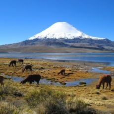 Bofedal de Parinacota