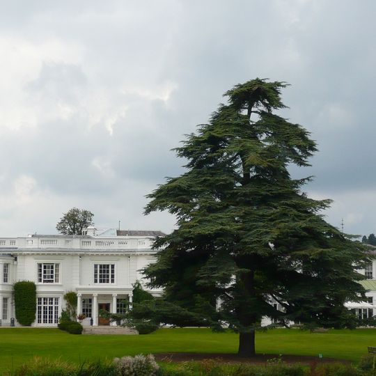 Henley Business School
