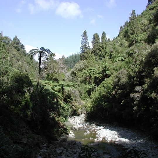 Akatarawa Forest