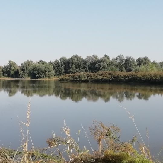 Biotopi e Ripristini ambientali di Budrio e Minerbio