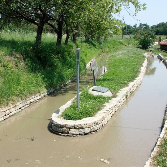 Bifurcation of Nerodimka