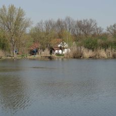 Cibakháza Tisza-Backwater