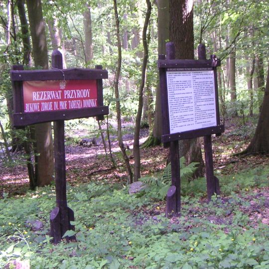 Nature reserve Bukowe Zdroje