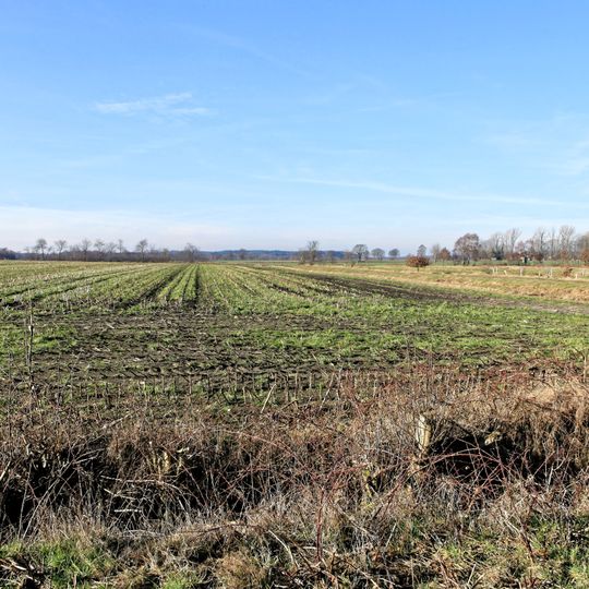 Moorwiesen am Theikenmeer