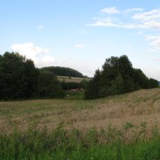 Runigerodt