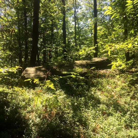 Riserva speciale del Sacro Monte della Santissima Trinità di Ghiffa