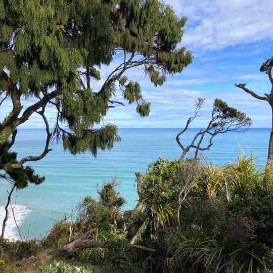 Three Mile Pack Track