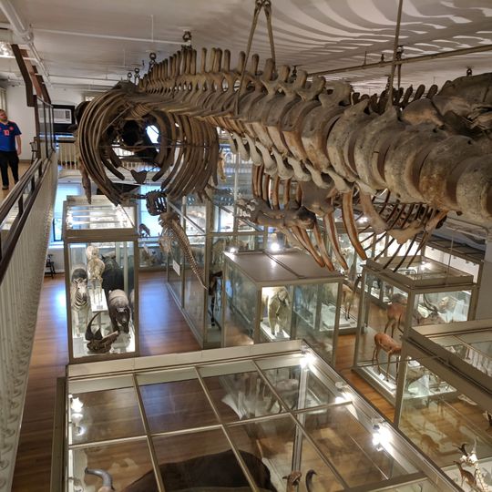 Peabody Museum of Archaeology and Ethnology