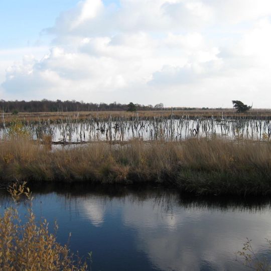 Rehdener Geestmoor-Regenerationsgebiet
