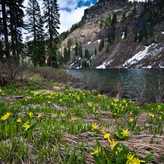 Klamath National Forest