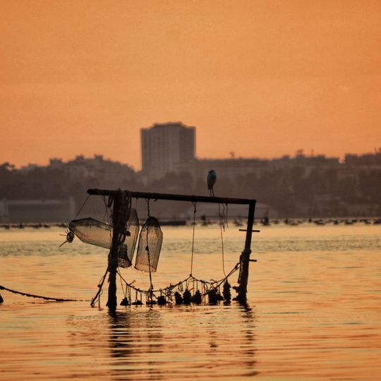 Riserva naturale regionale orientata Palude La Vela